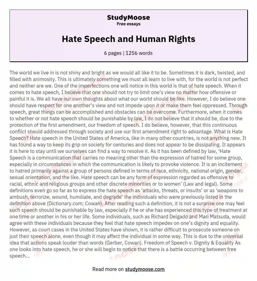 Hate Speech and Human Rights Free Essay Example