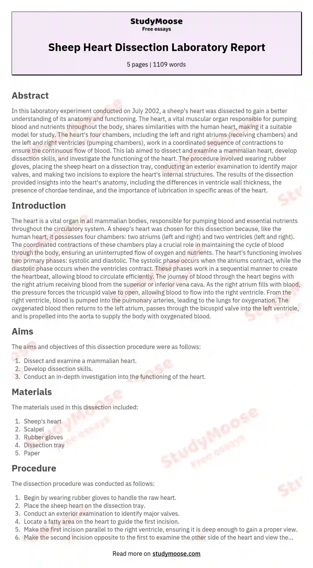 Sheep Heart Dissection Laboratory Report StudyMoose