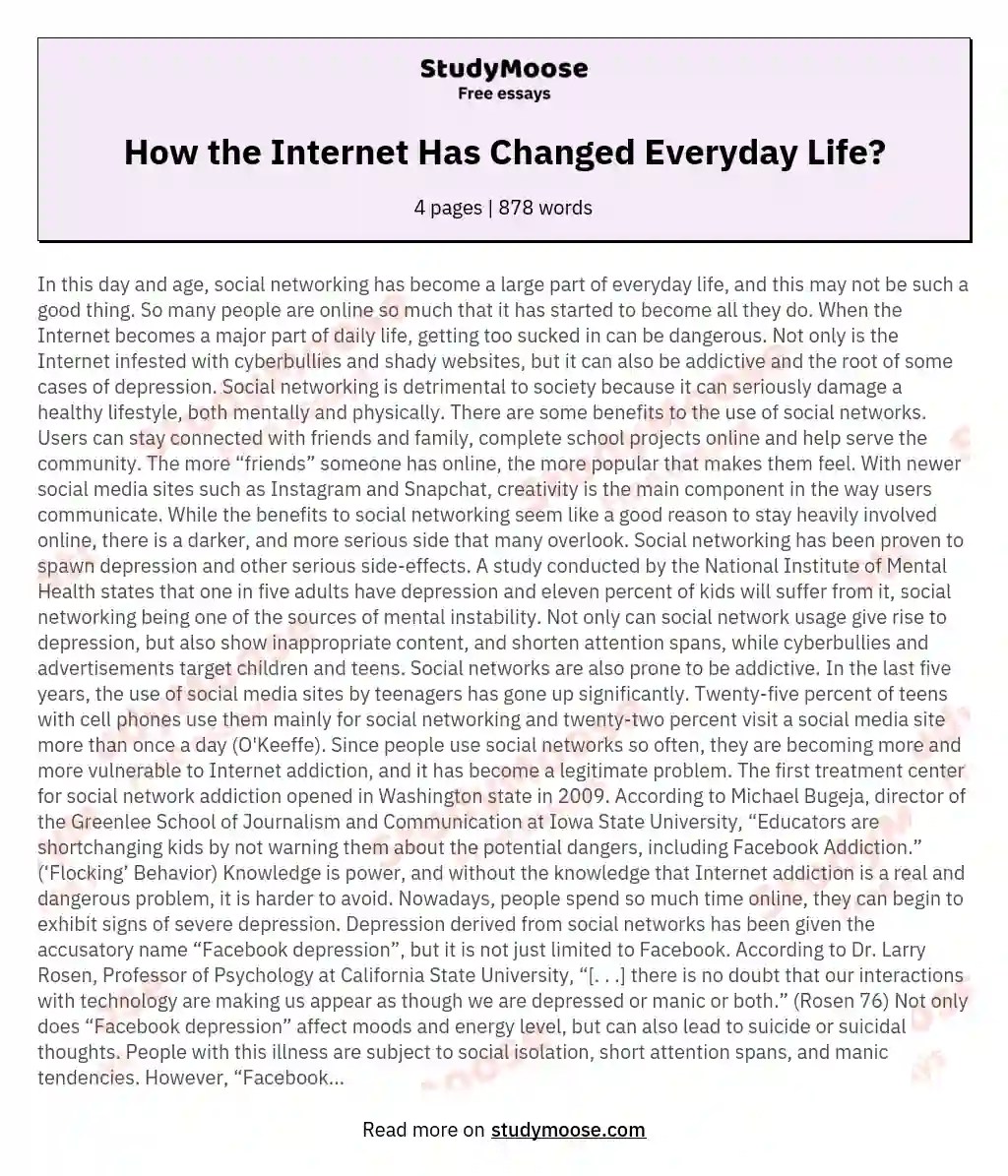 How the Has Changed Everyday Life? Free Essay Example