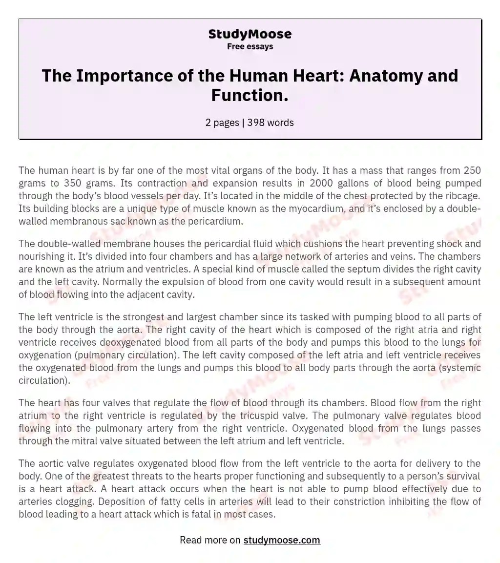 The Importance of the Human Heart Anatomy and Function. Free Essay Example