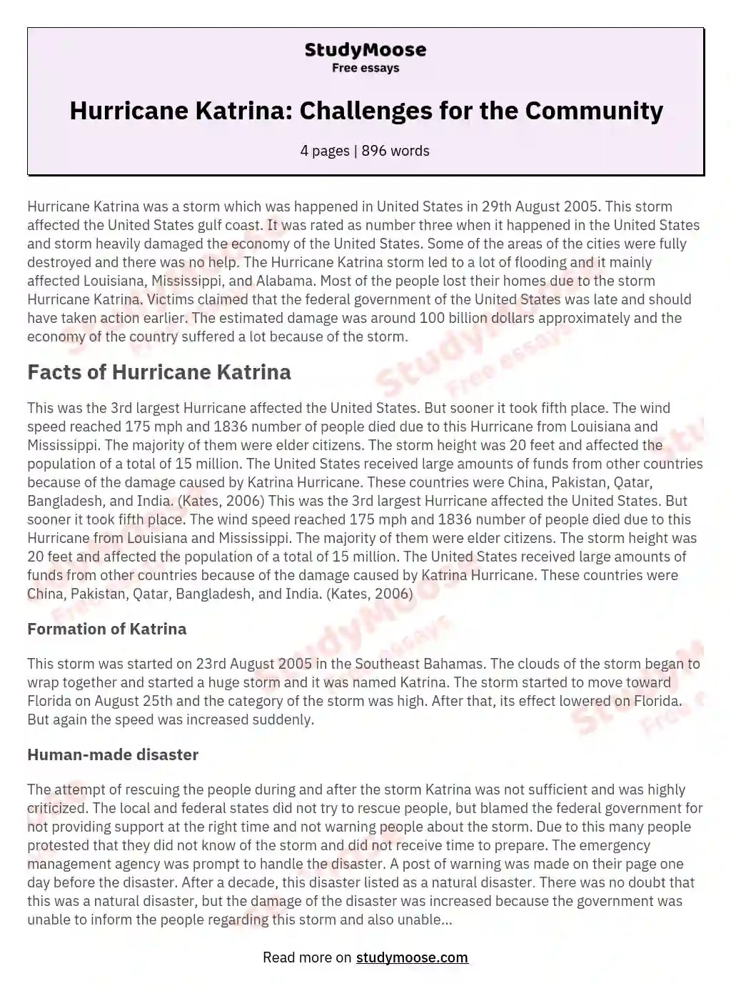 Hurricane Katrina Challenges for the Community Free Essay Example