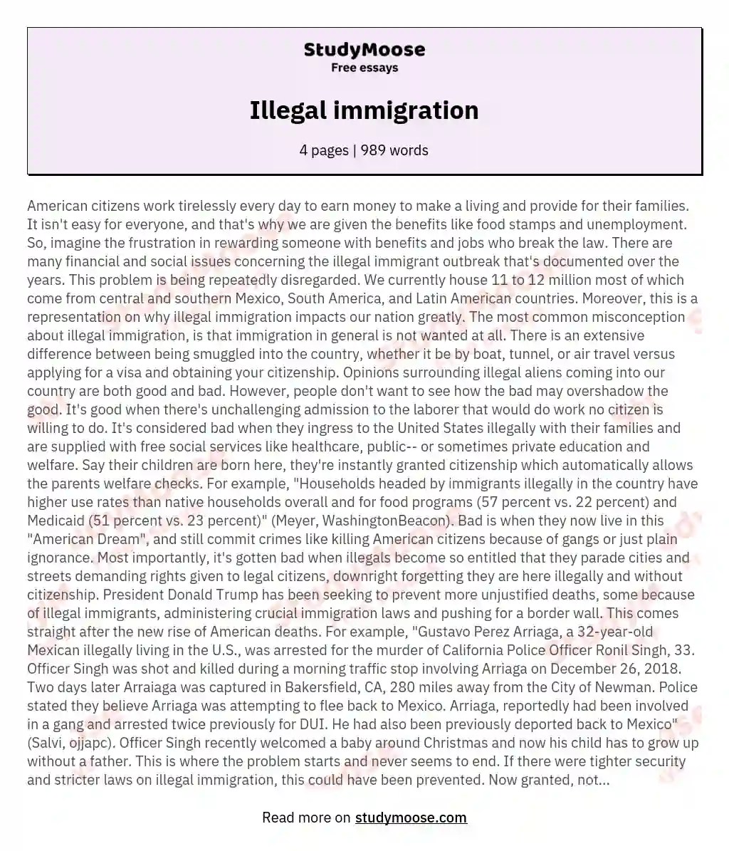 Illegal immigration Free Essay Example