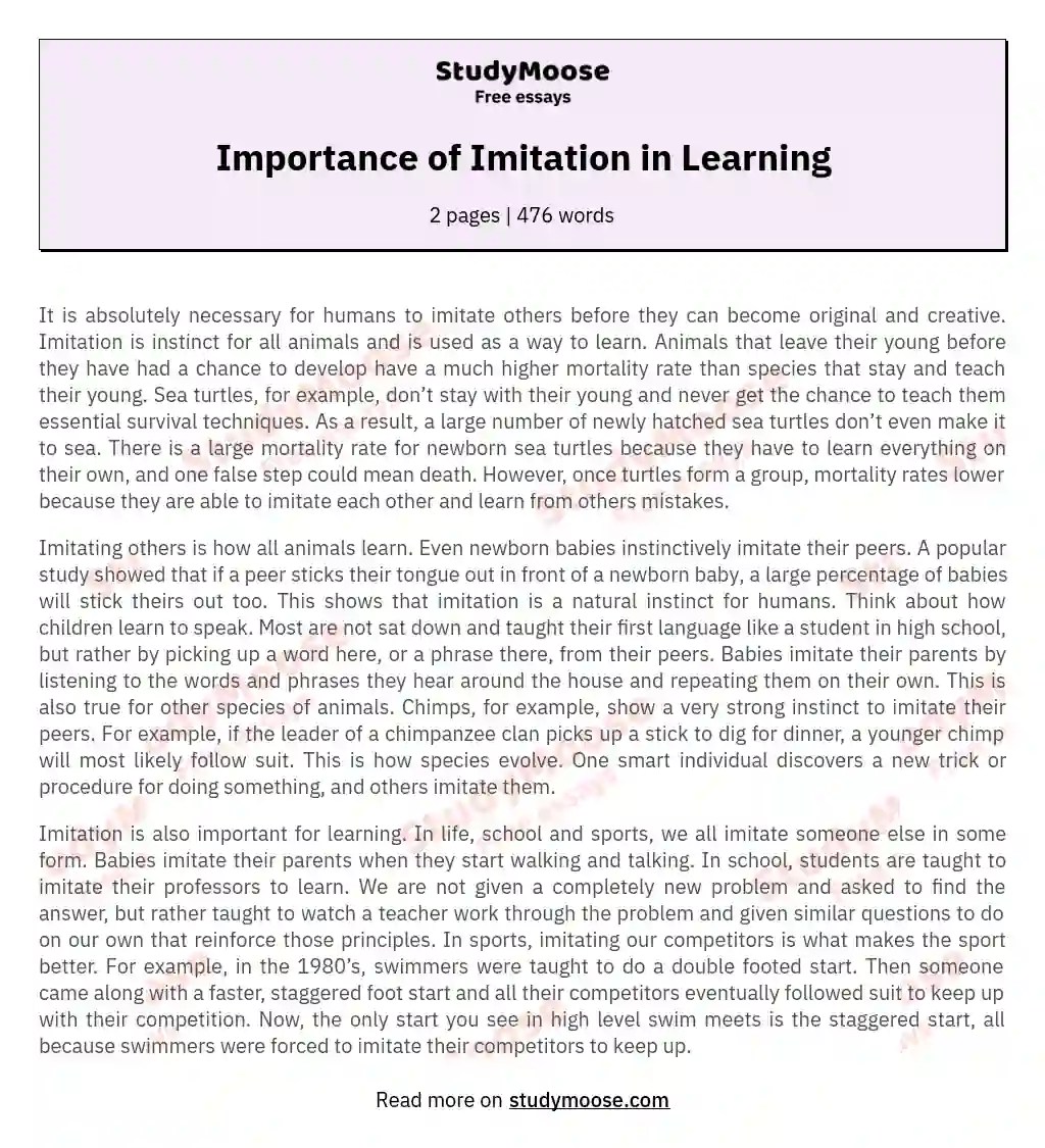 Importance of Imitation in Learning Free Essay Example