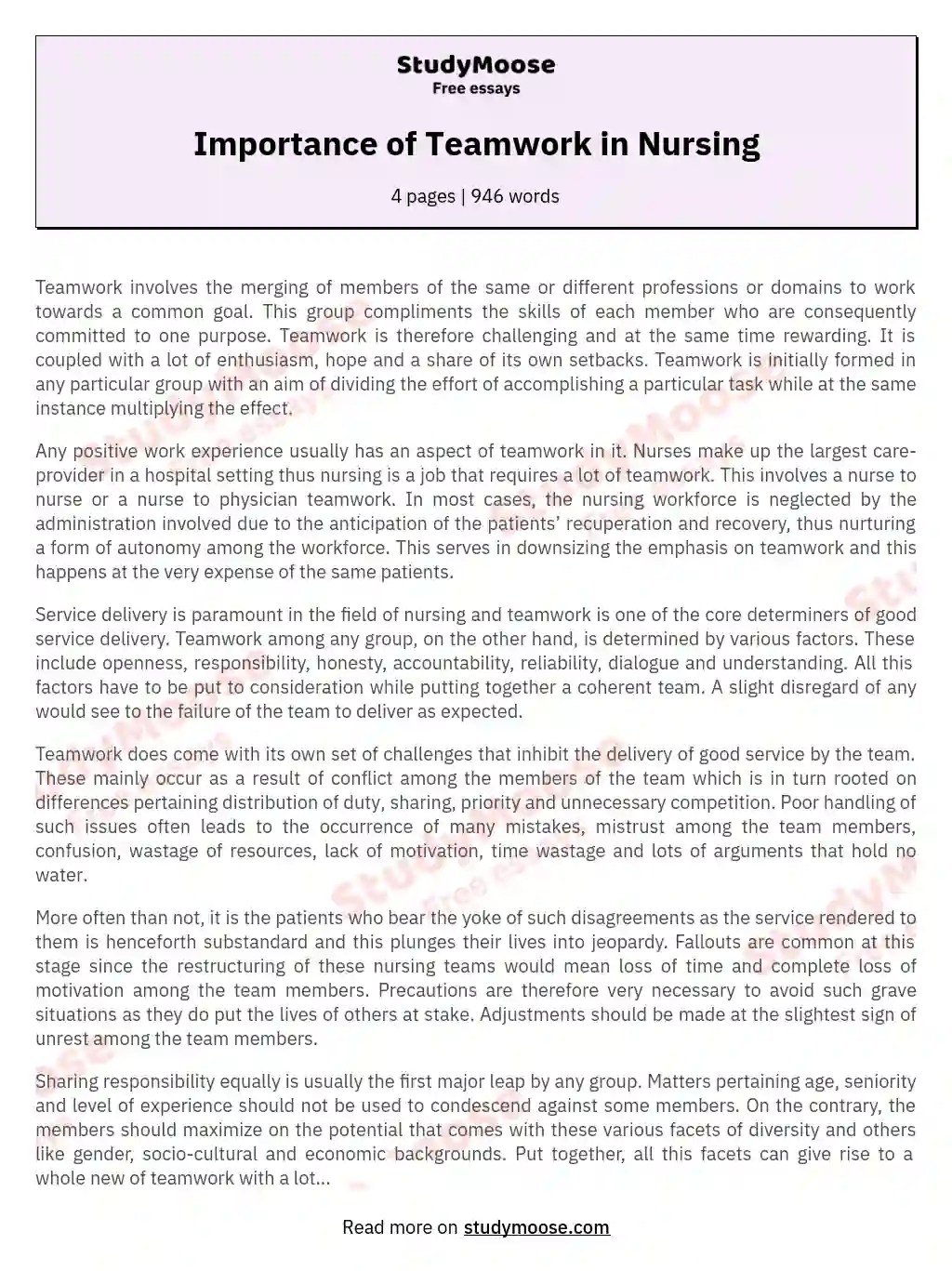 Importance of Teamwork in Nursing Free Essay Example