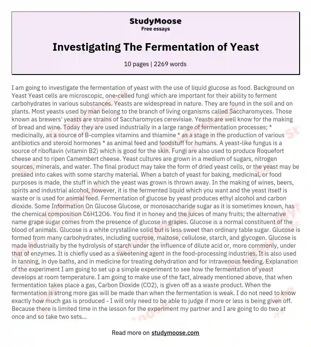 Investigating The Fermentation of Yeast Free Essay Example