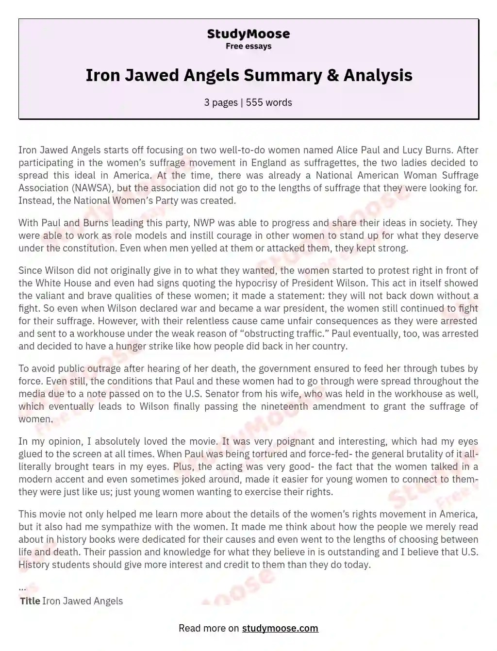 Iron Jawed Angels Summary & Analysis Paper Angels Sparknotes Free