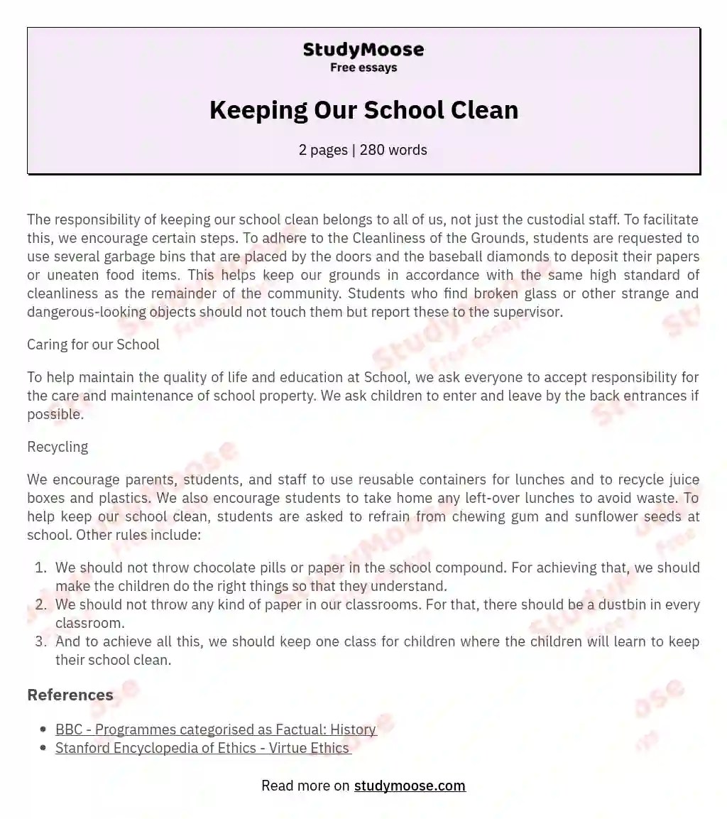 Keeping Our School Clean Free Essay Example