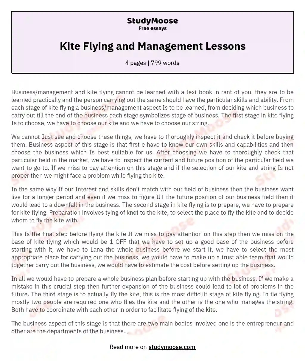 Kite Flying and Management Lessons Free Essay Example