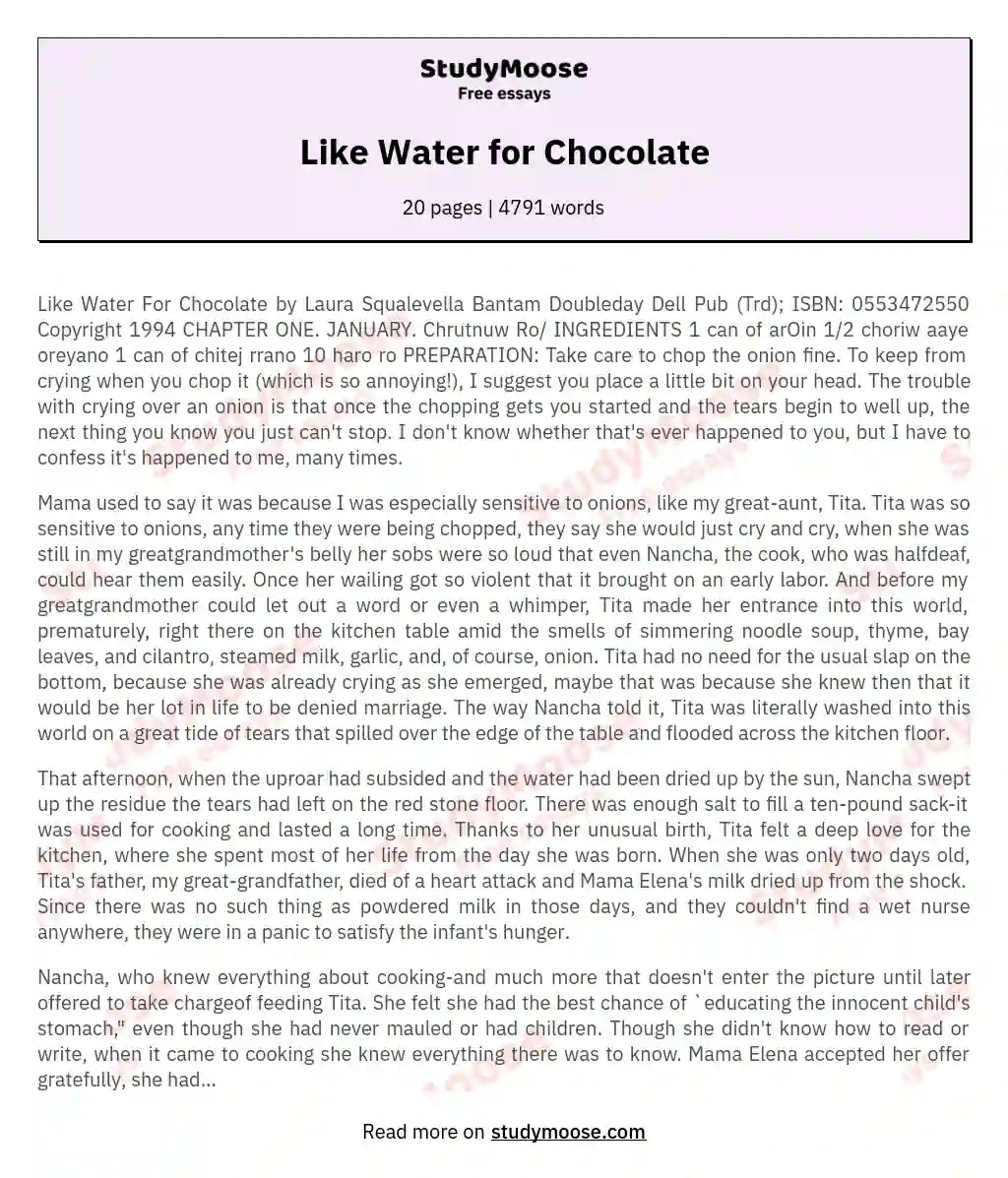 Like Water for Chocolate Free Essay Example