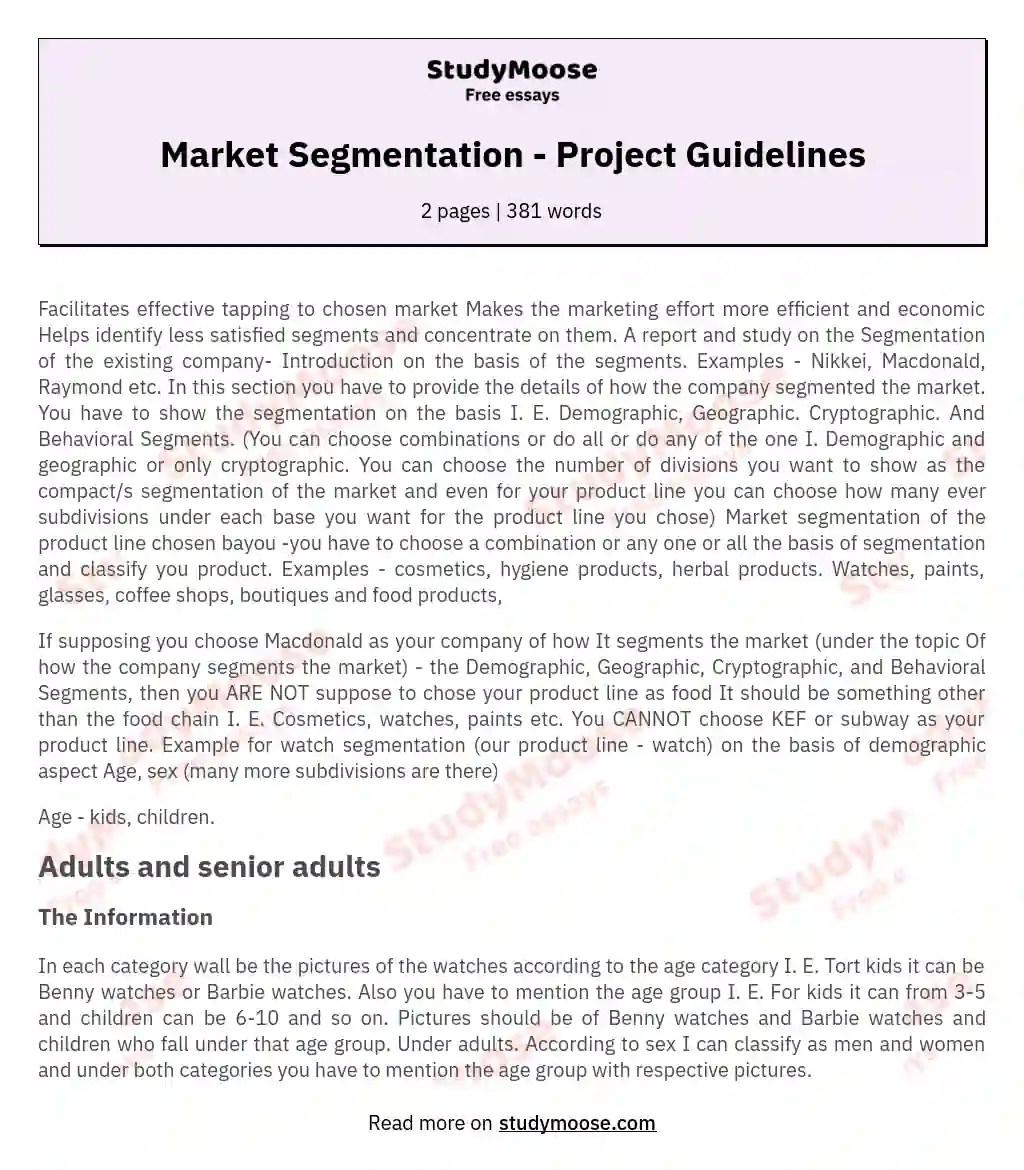 Market Segmentation Project Guidelines Free Essay Example