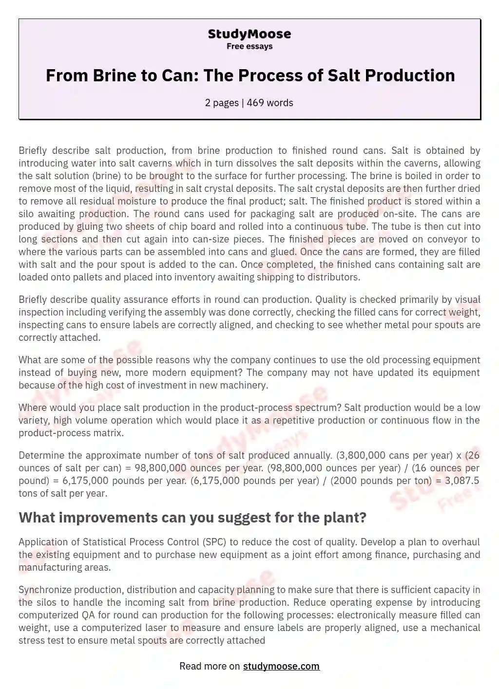 From Brine to Can The Process of Salt Production Free Essay Example