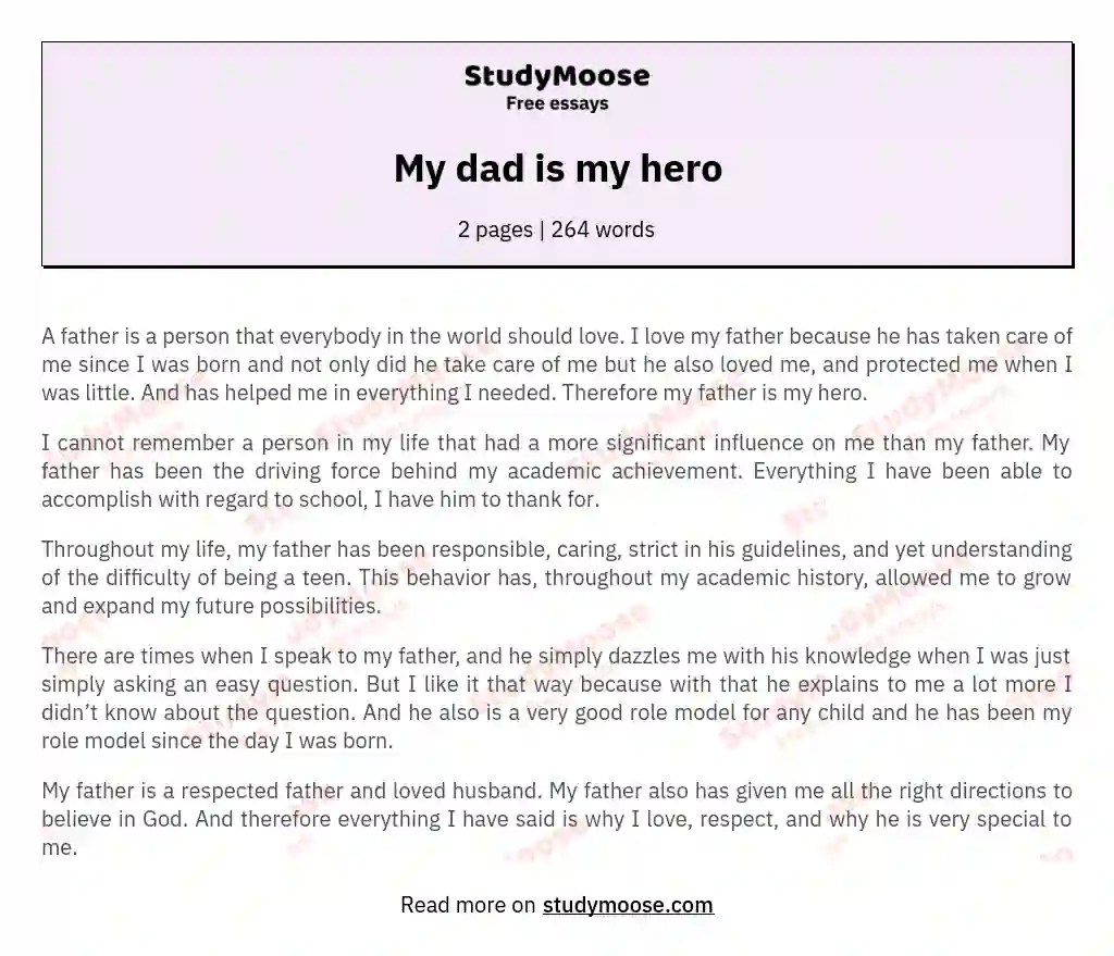 My dad is my hero Free Essay Example about