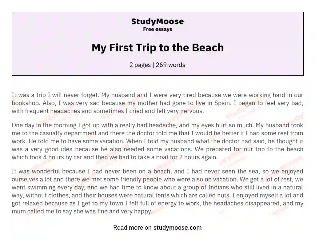 My First Trip to the Beach Free Essay Example