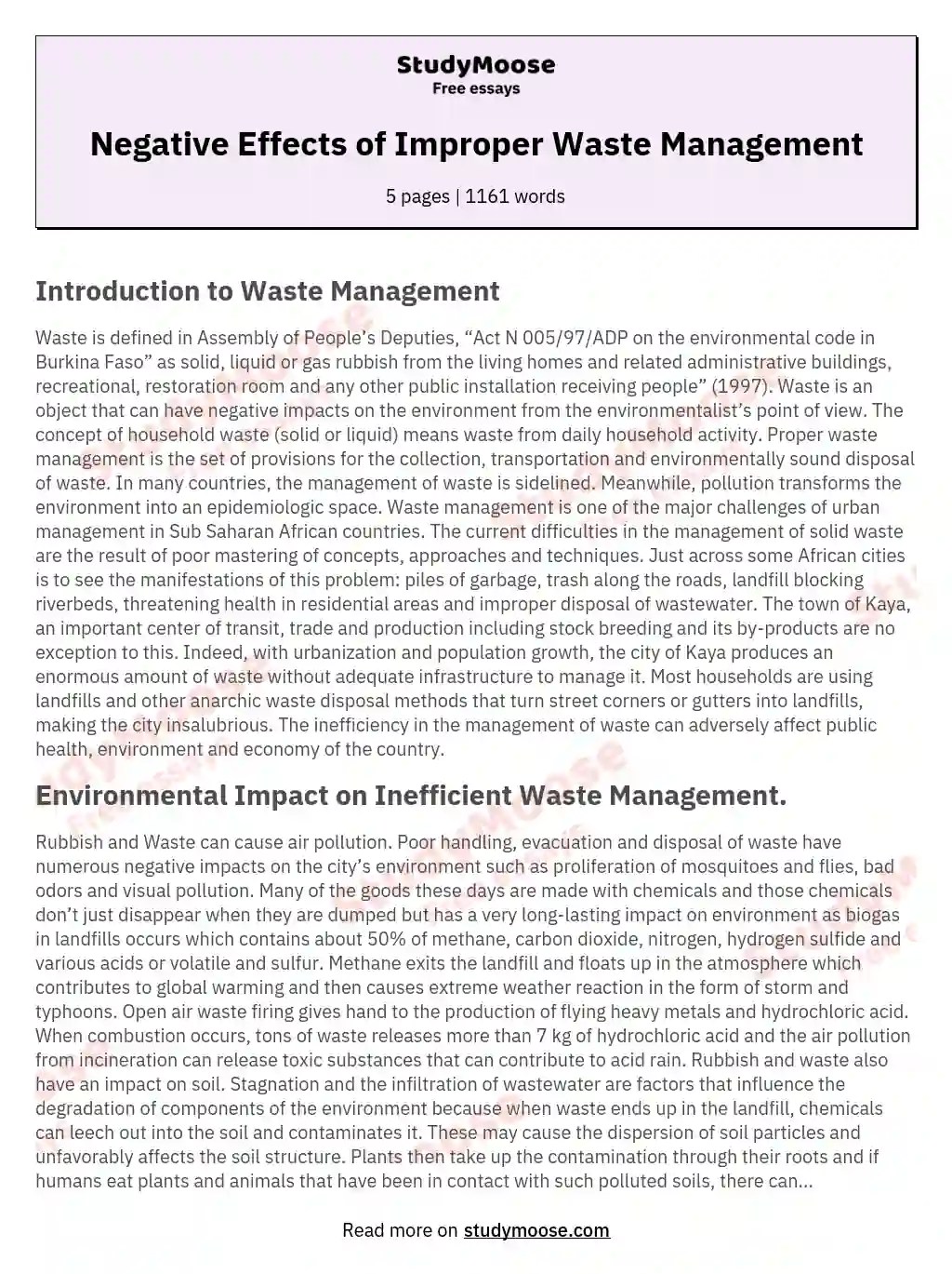 Negative Effects of Improper Waste Management Free Essay Example