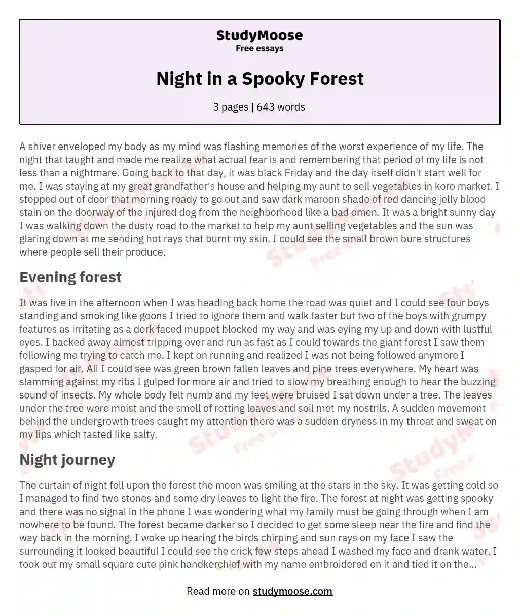 Night in a Spooky Forest Free Essay Example