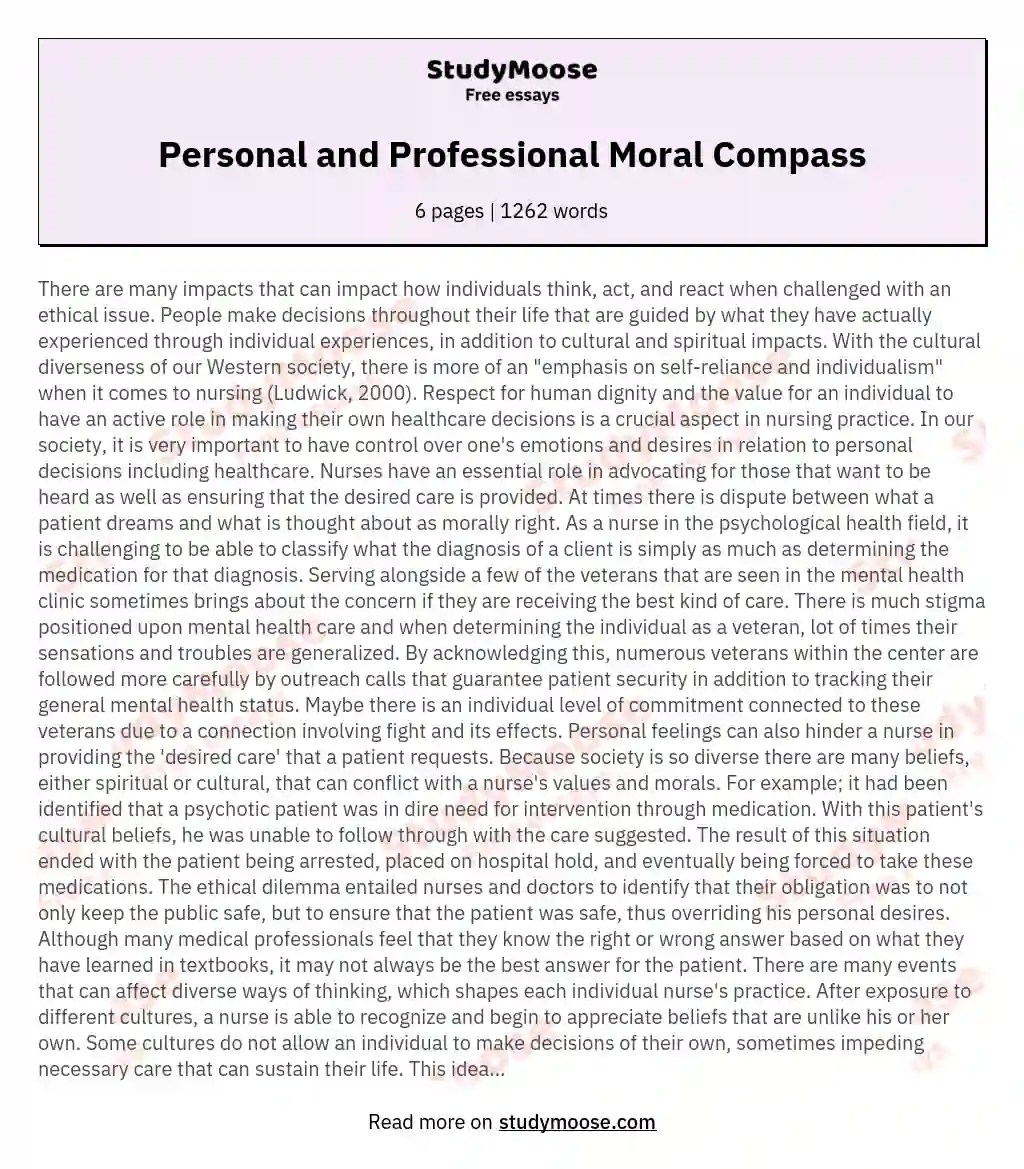 Personal and Professional Moral Compass Free Essay Example