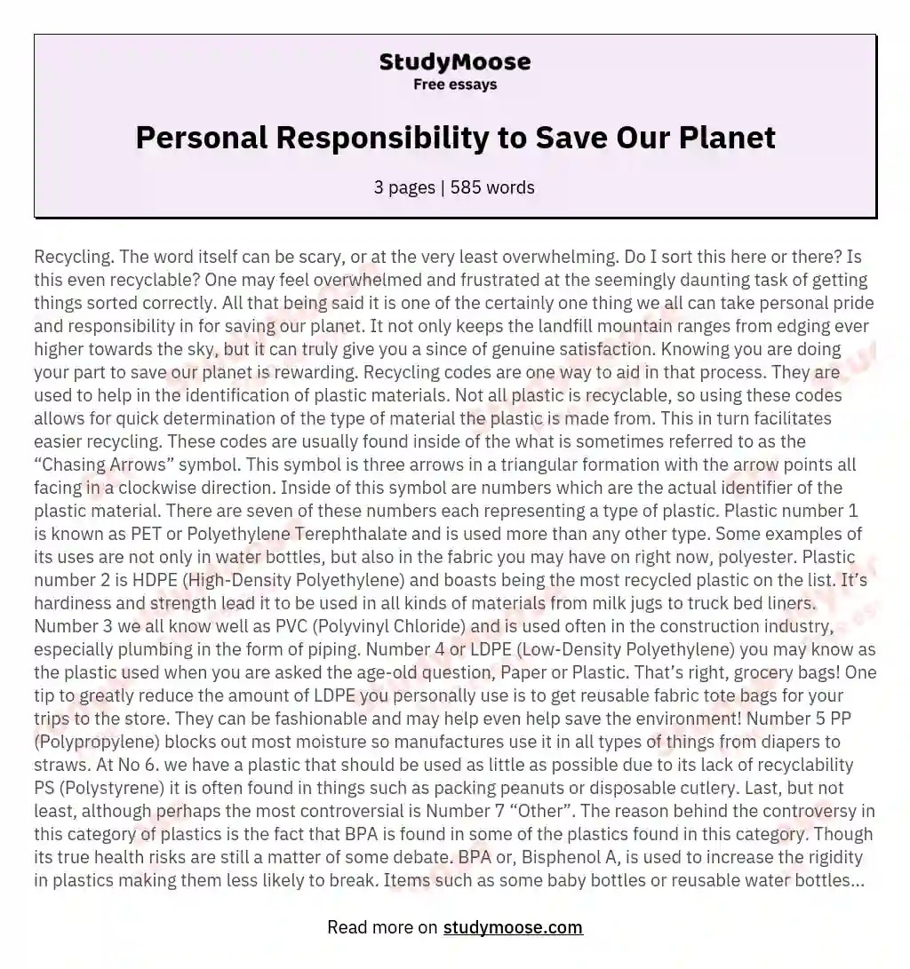 Personal Responsibility to Save Our Free Essay Example