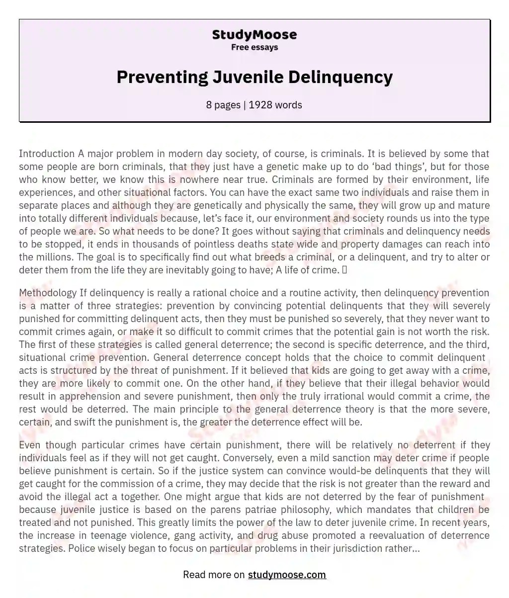 Preventing Juvenile Delinquency Free Essay Example