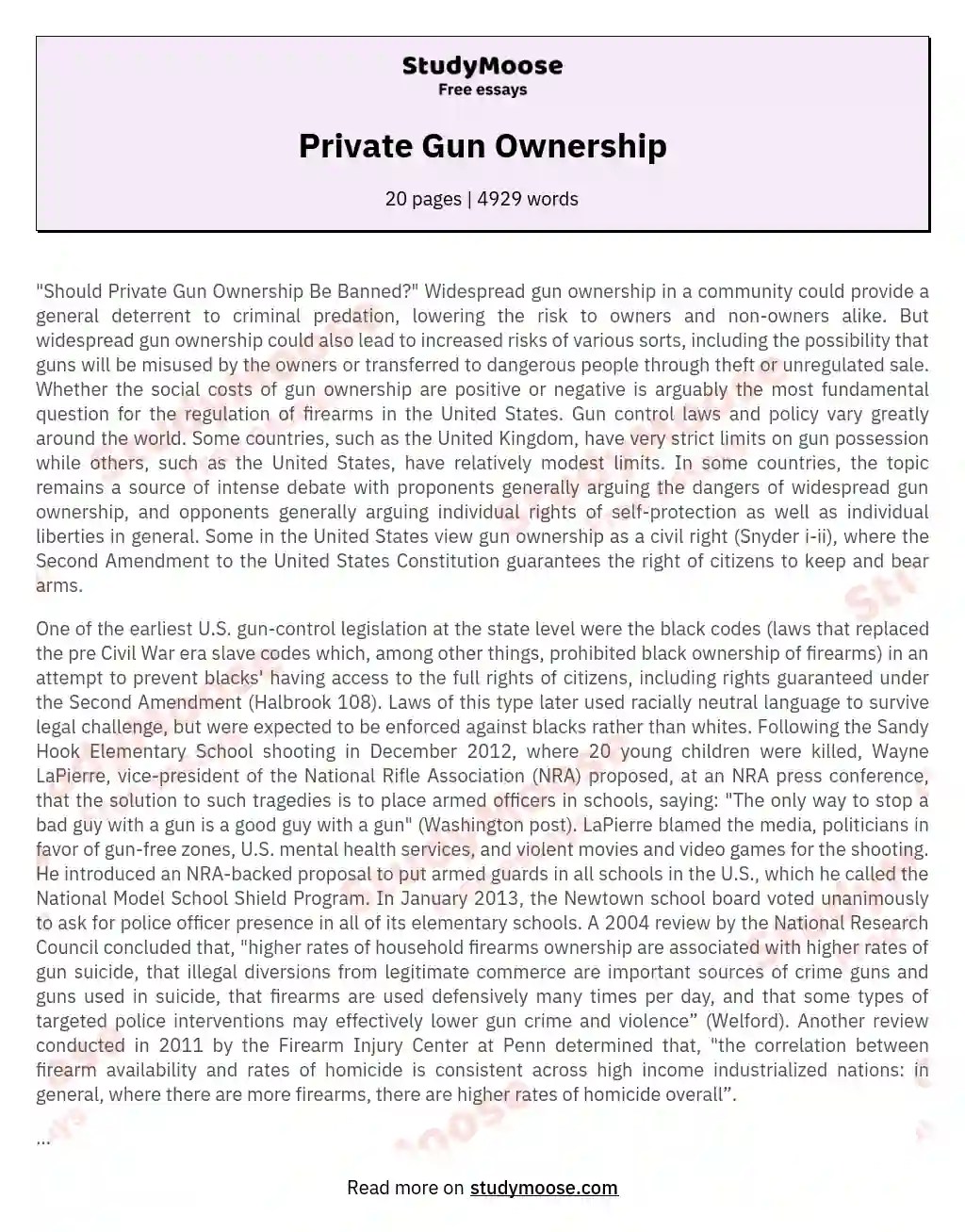 Private Gun Ownership Free Essay Example