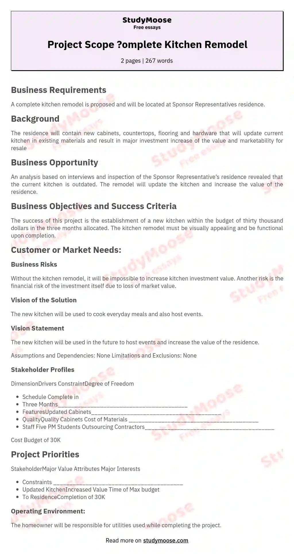 Project Scope ?omplete Kitchen Remodel Free Essay Example