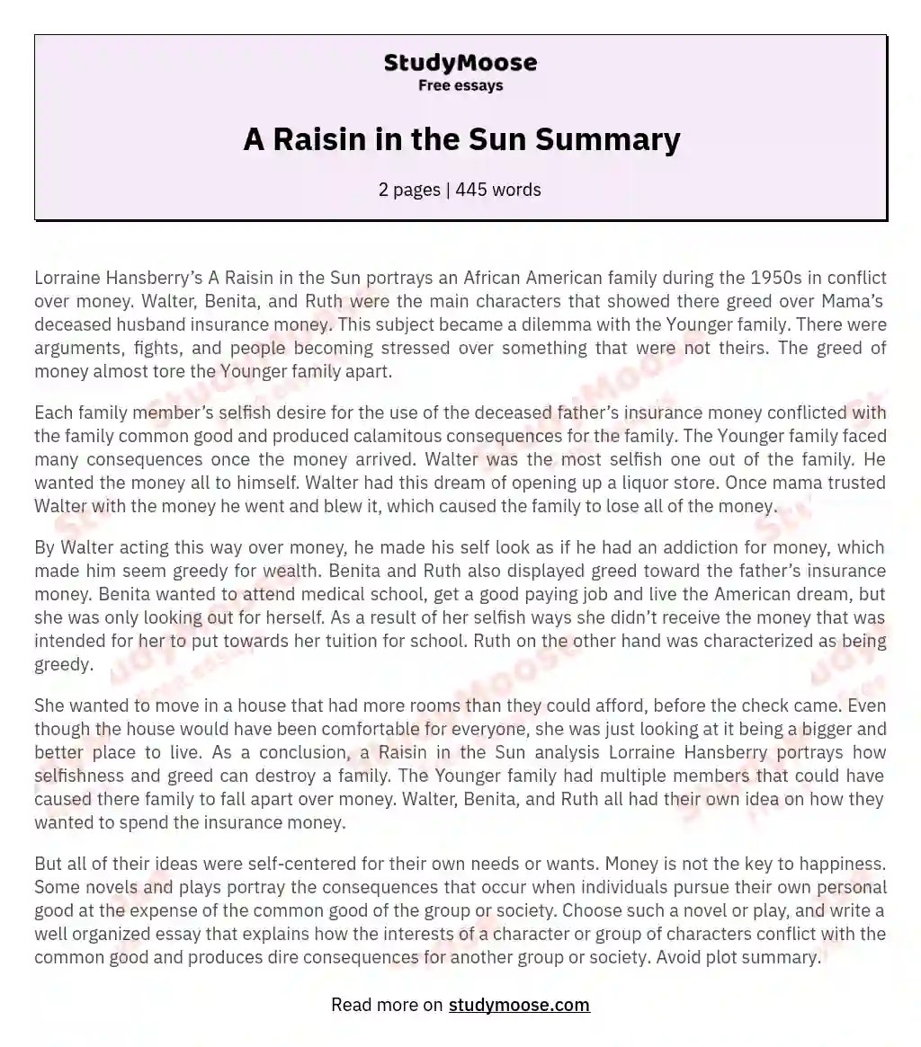 A Raisin in the Sun Summary Free Essay Example