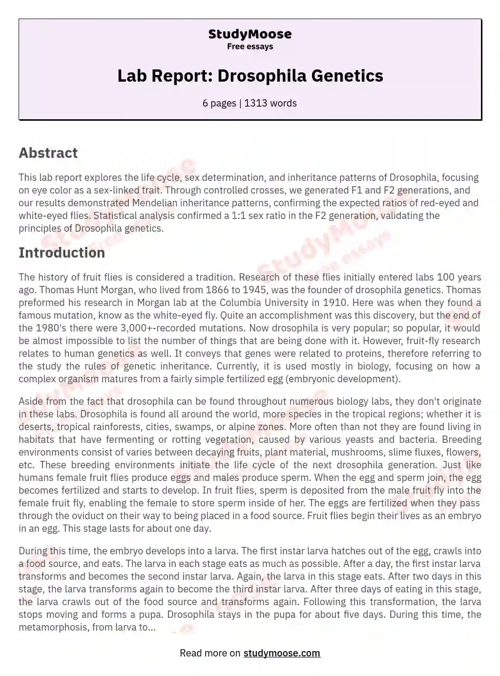 Drosophila Fruit Fly Lab Free Essay Example