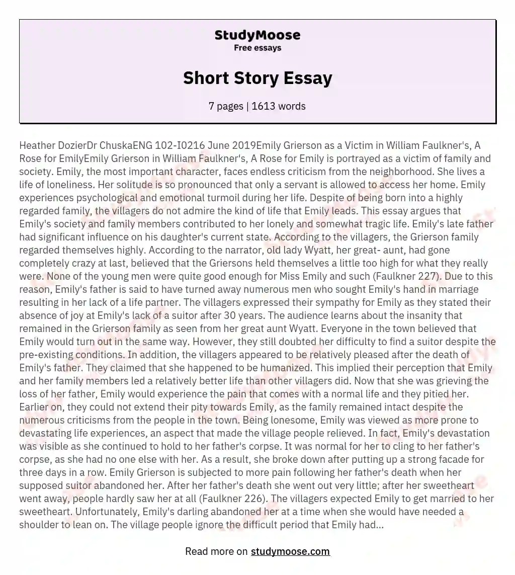 Short Story Essay Free Essay Example