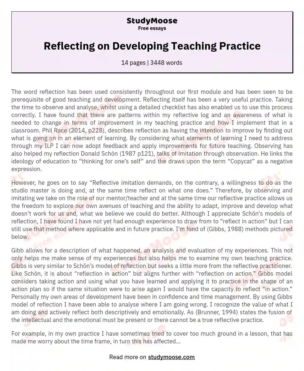 Reflecting on Developing Teaching Practice Free Essay Example