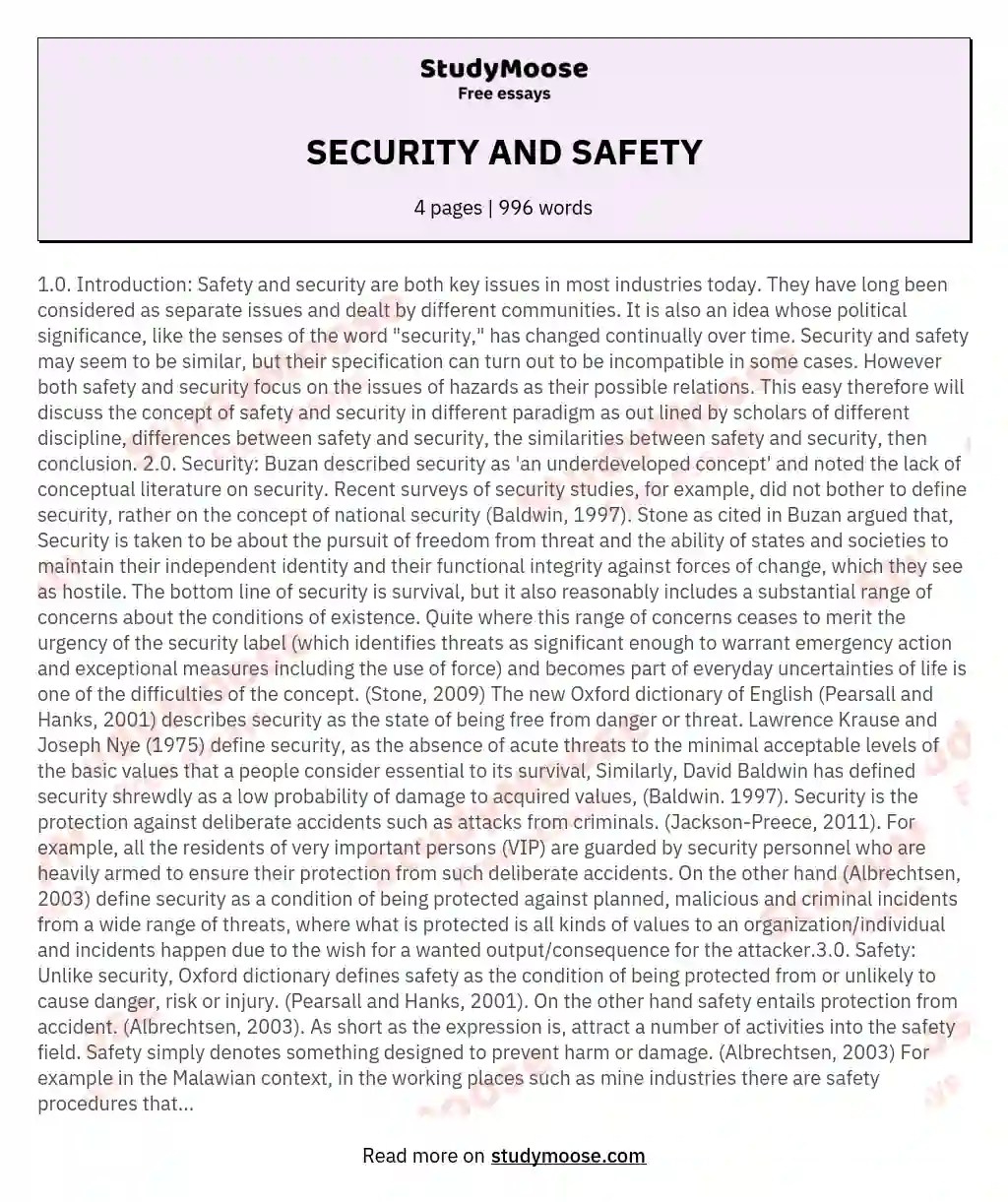 SECURITY AND SAFETY Free Essay Example