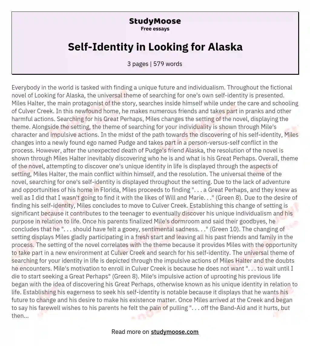SelfIdentity in Looking for Alaska Free Essay Example