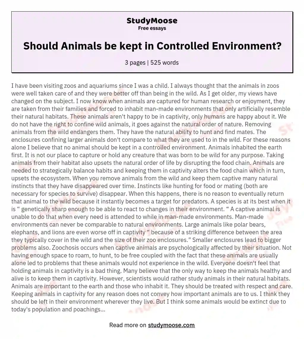 ⛔ Animals should be kept in captivity essay. Argumentative Essay Is