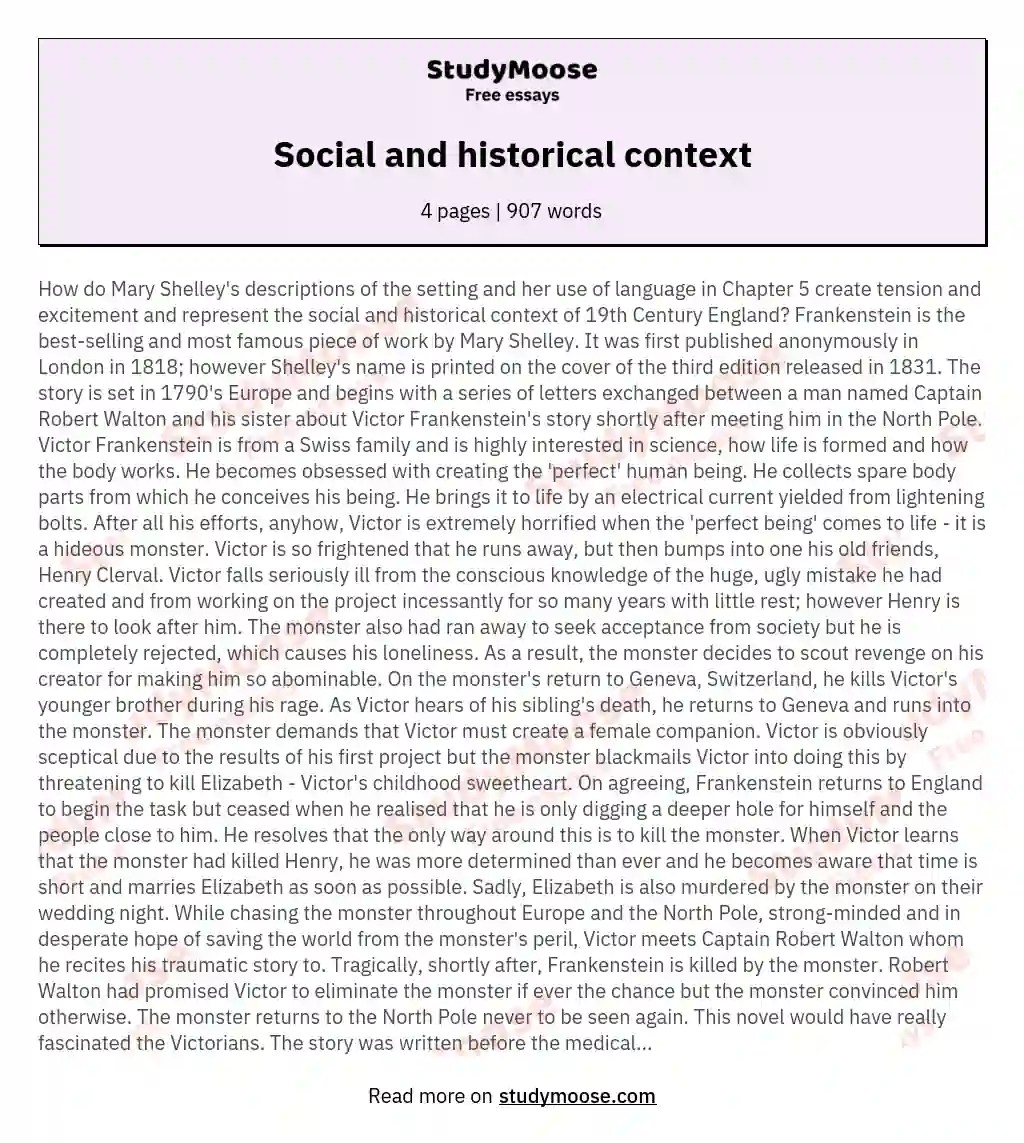 Social and historical context Free Essay Example