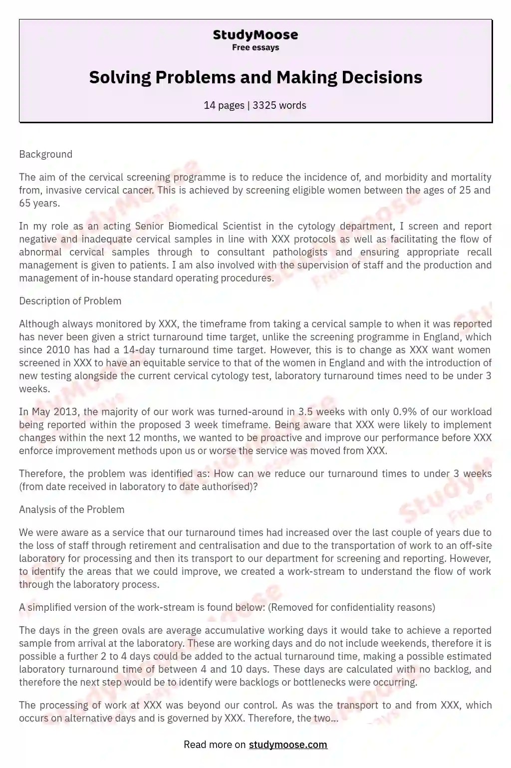 Solving Problems and Making Decisions Free Essay Example