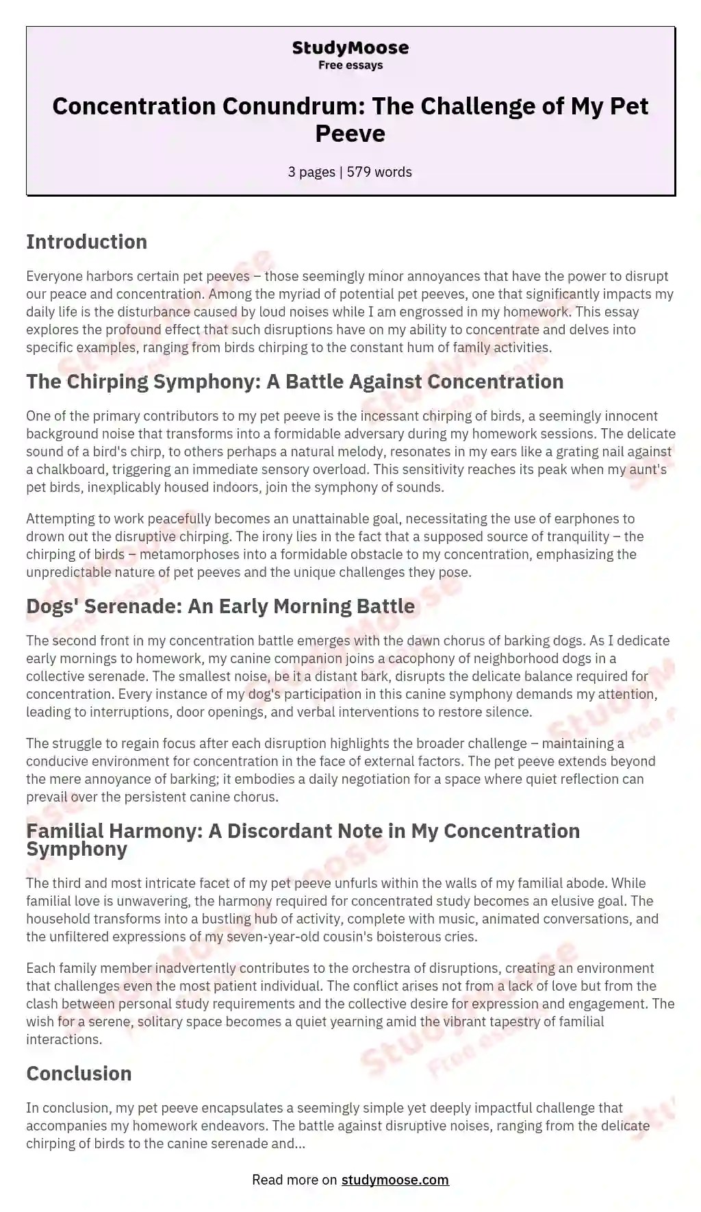 Concentration Conundrum The Challenge of My Pet Peeve Free Essay Example