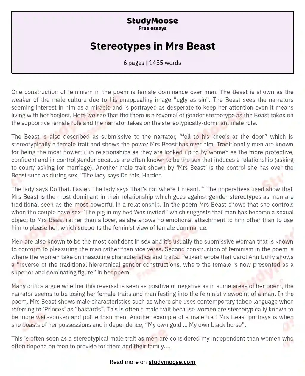 Stereotypes in Mrs Beast Free Essay Example