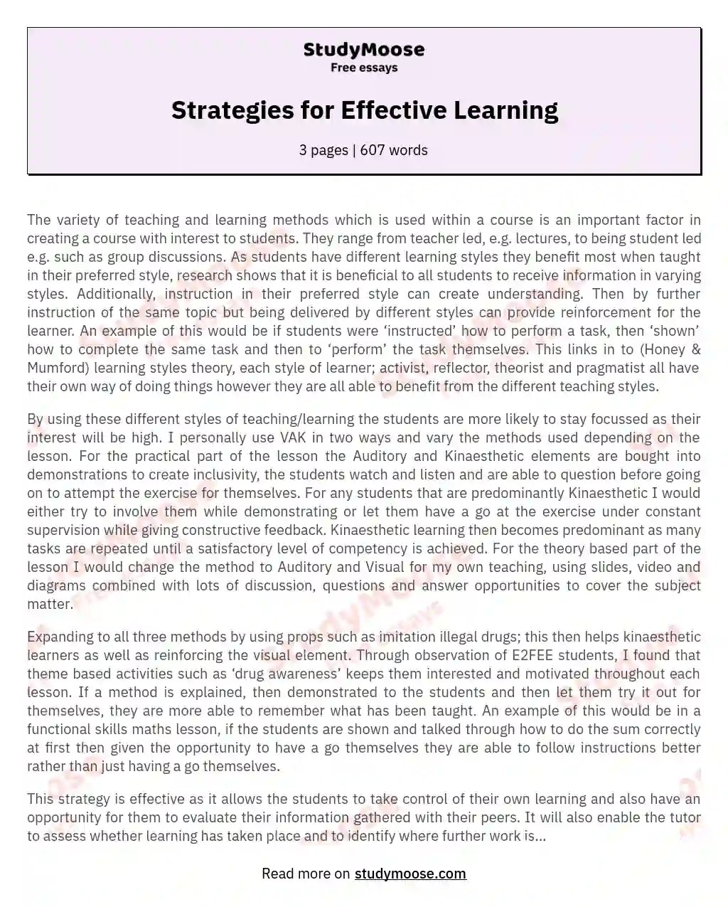 Strategies for Effective Learning Free Essay Example