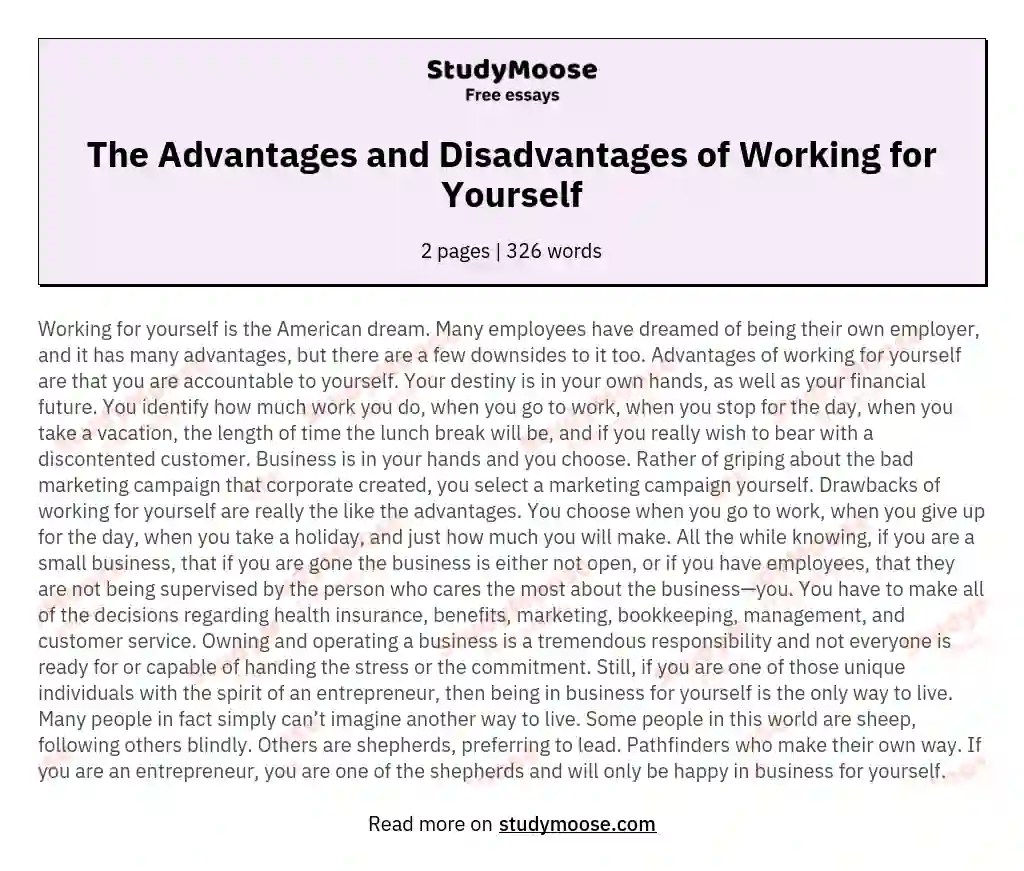 The Advantages and Disadvantages of Working for Yourself Free Essay Example