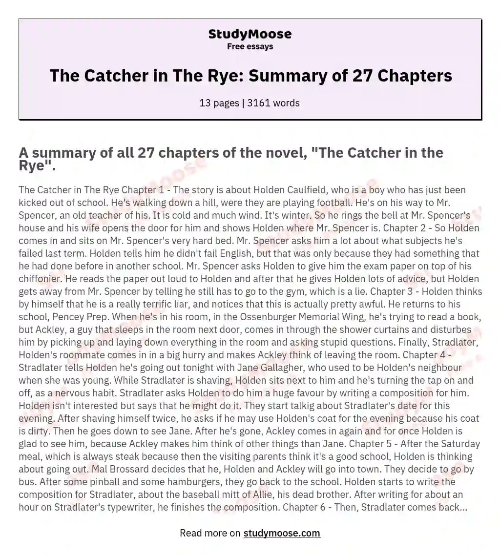 Catcher In The Rye Chapter 19 Summary glitteredrosesan Blogs