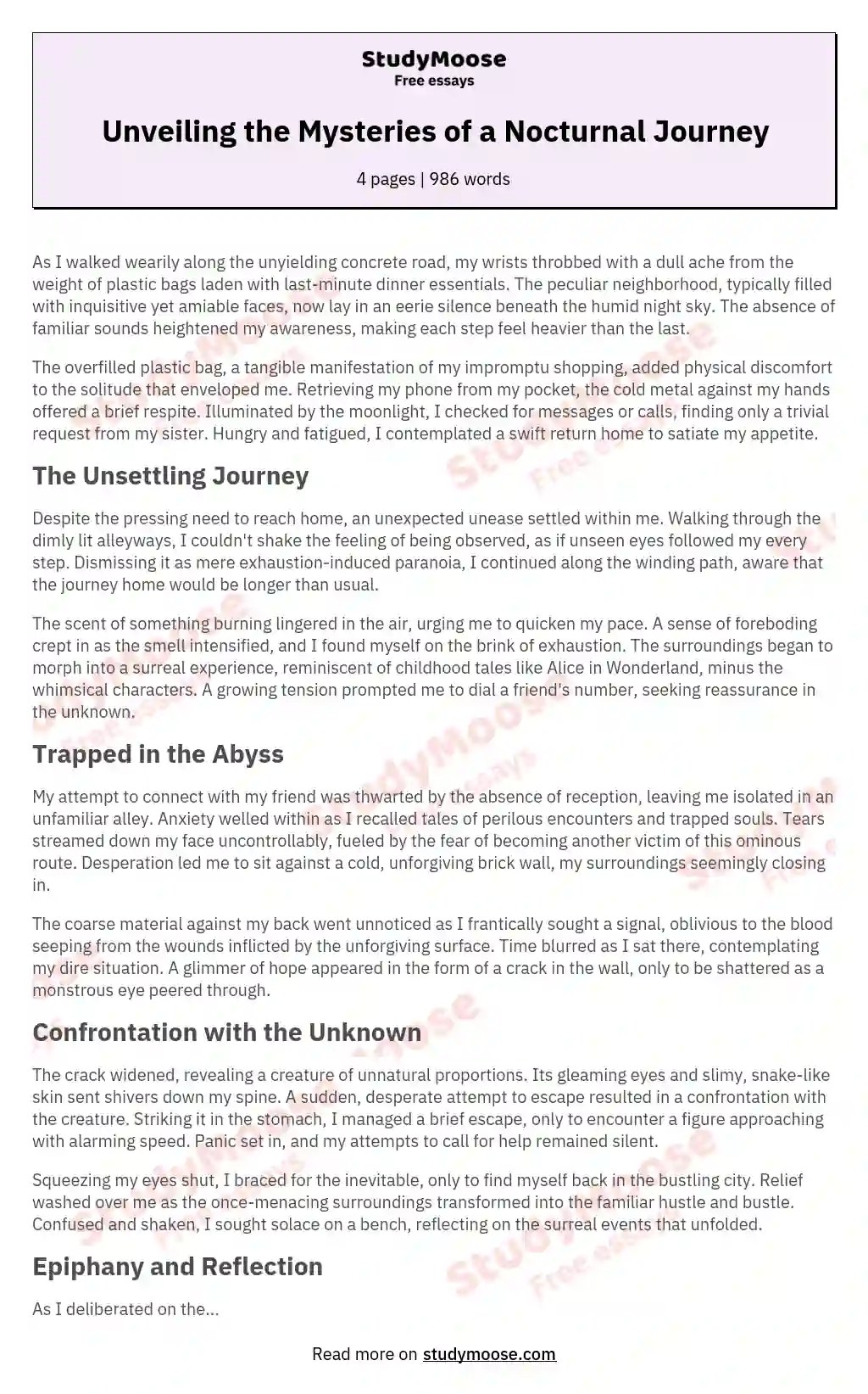 Unveiling the Mysteries of a Nocturnal Journey Free Essay Example