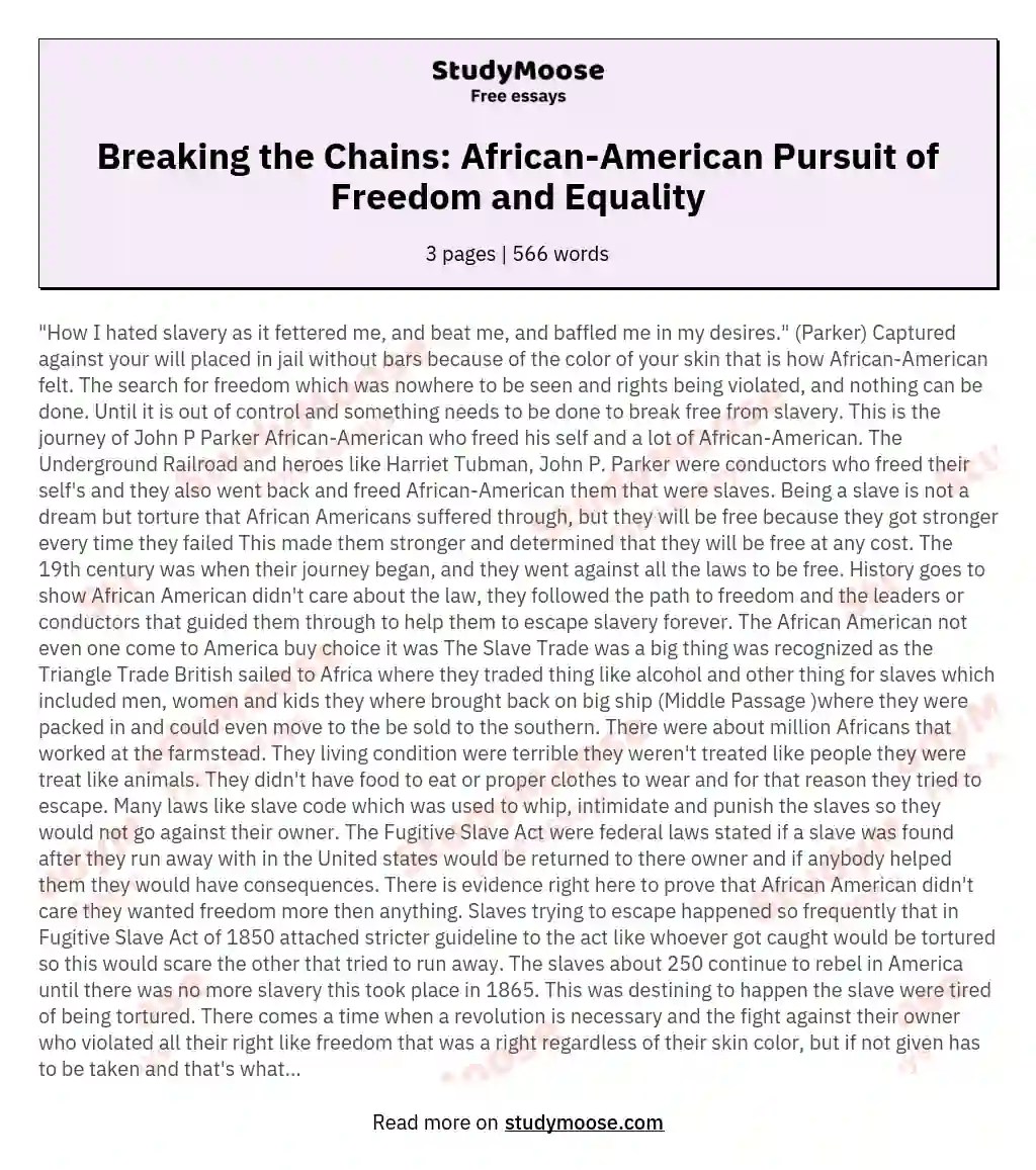 Breaking the Chains AfricanAmerican Pursuit of Freedom and Equality Free Essay Example