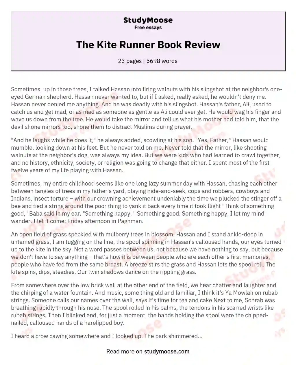 The Kite Runner Book Review Free Essay Example
