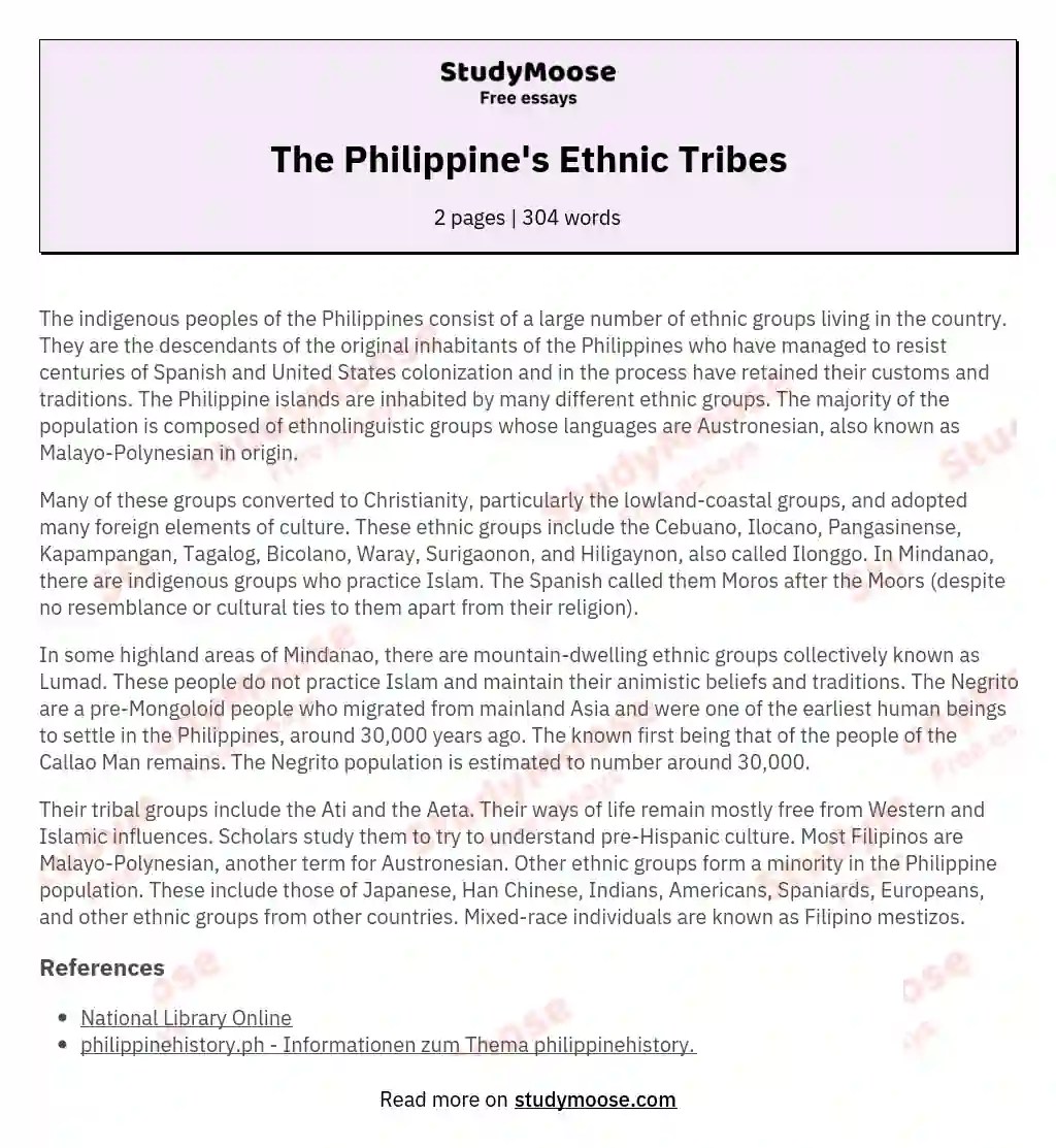 The Philippine's Ethnic Tribes Free Essay Example