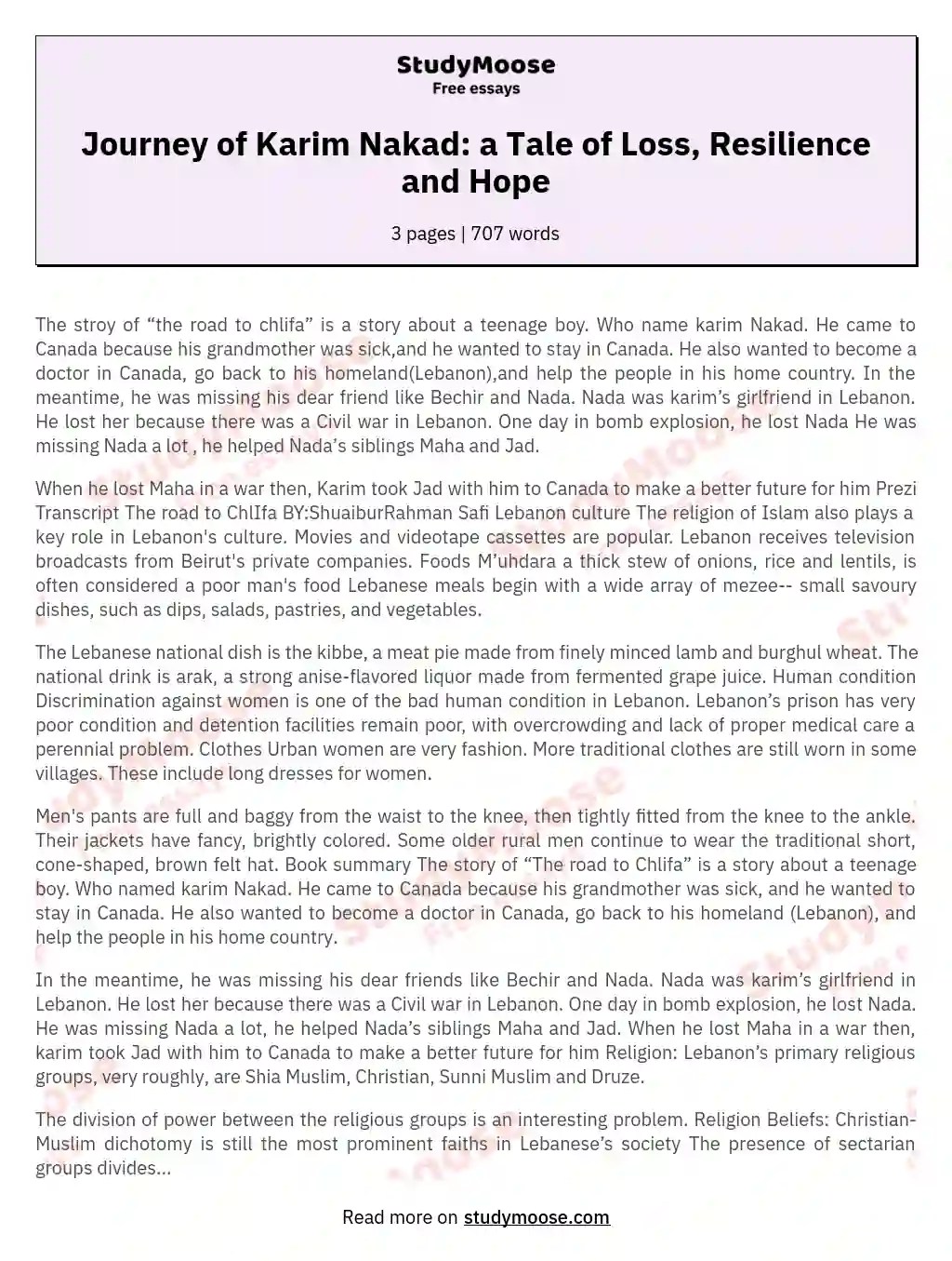 Journey of Karim Nakad a Tale of Loss, Resilience and Hope Free Essay