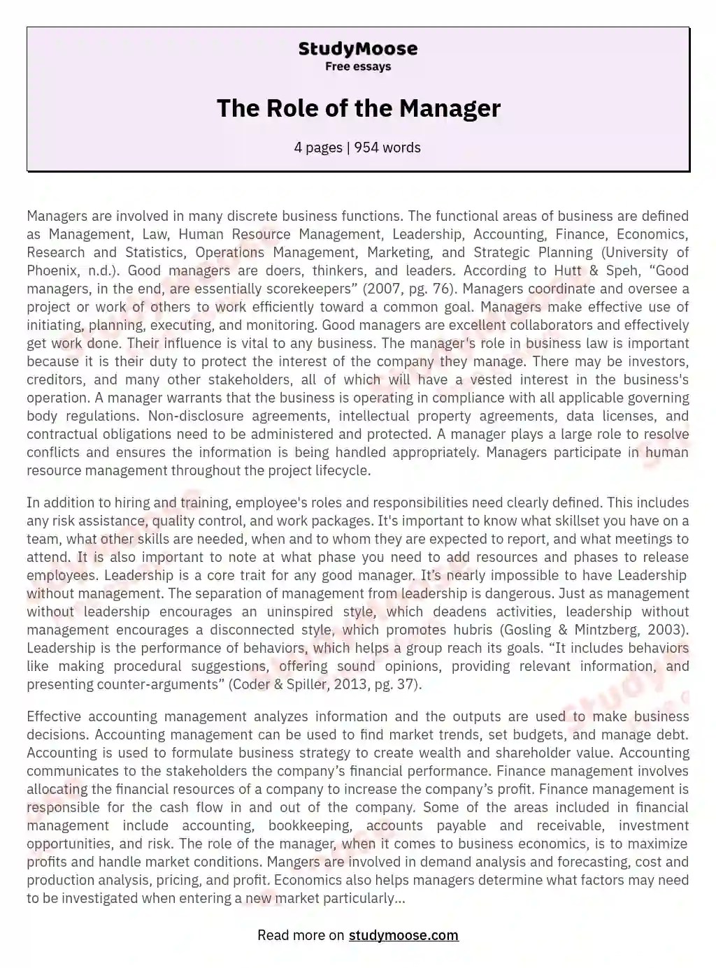 The Role of the Manager Free Essay Example