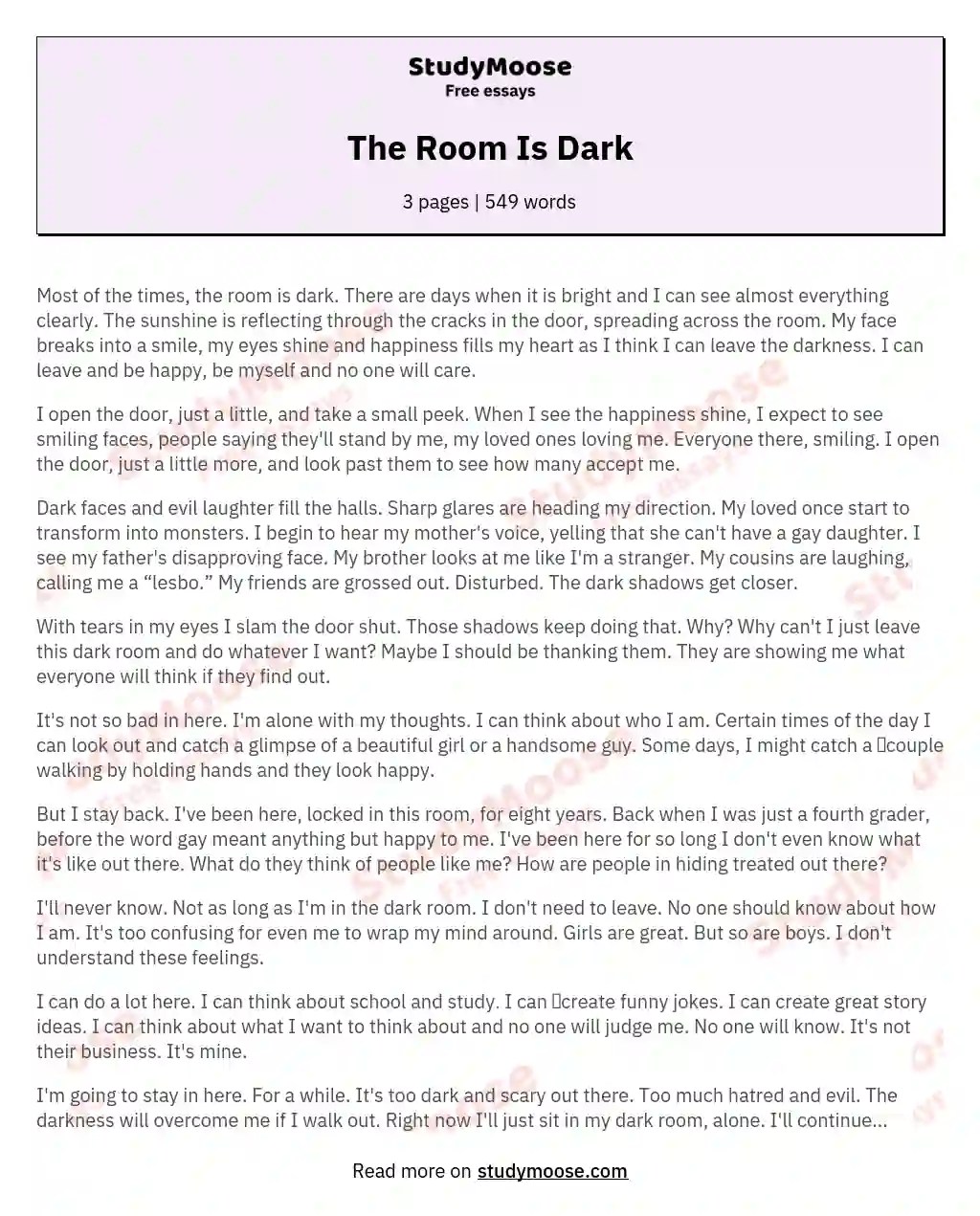 The Room Is Dark Free Essay Example