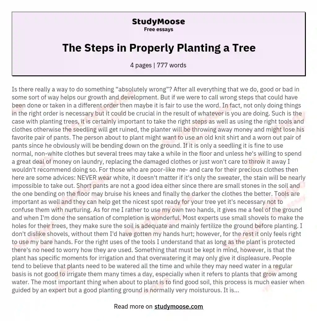 The Steps in Properly Planting a Tree Free Essay Example