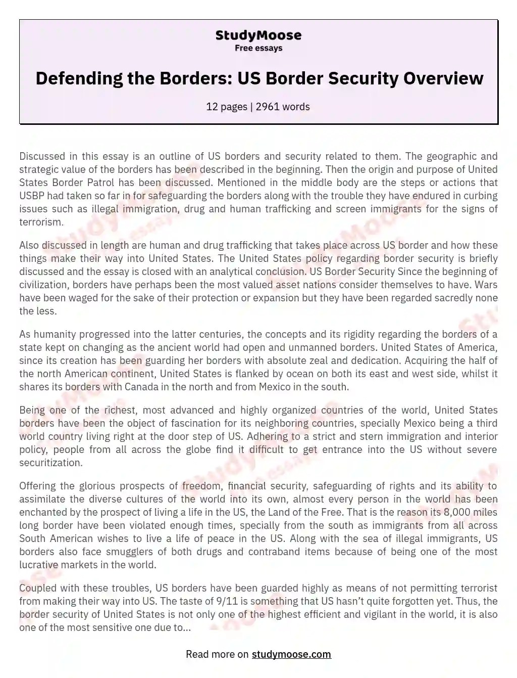 Defending the Borders US Border Security Overview Free Essay Example