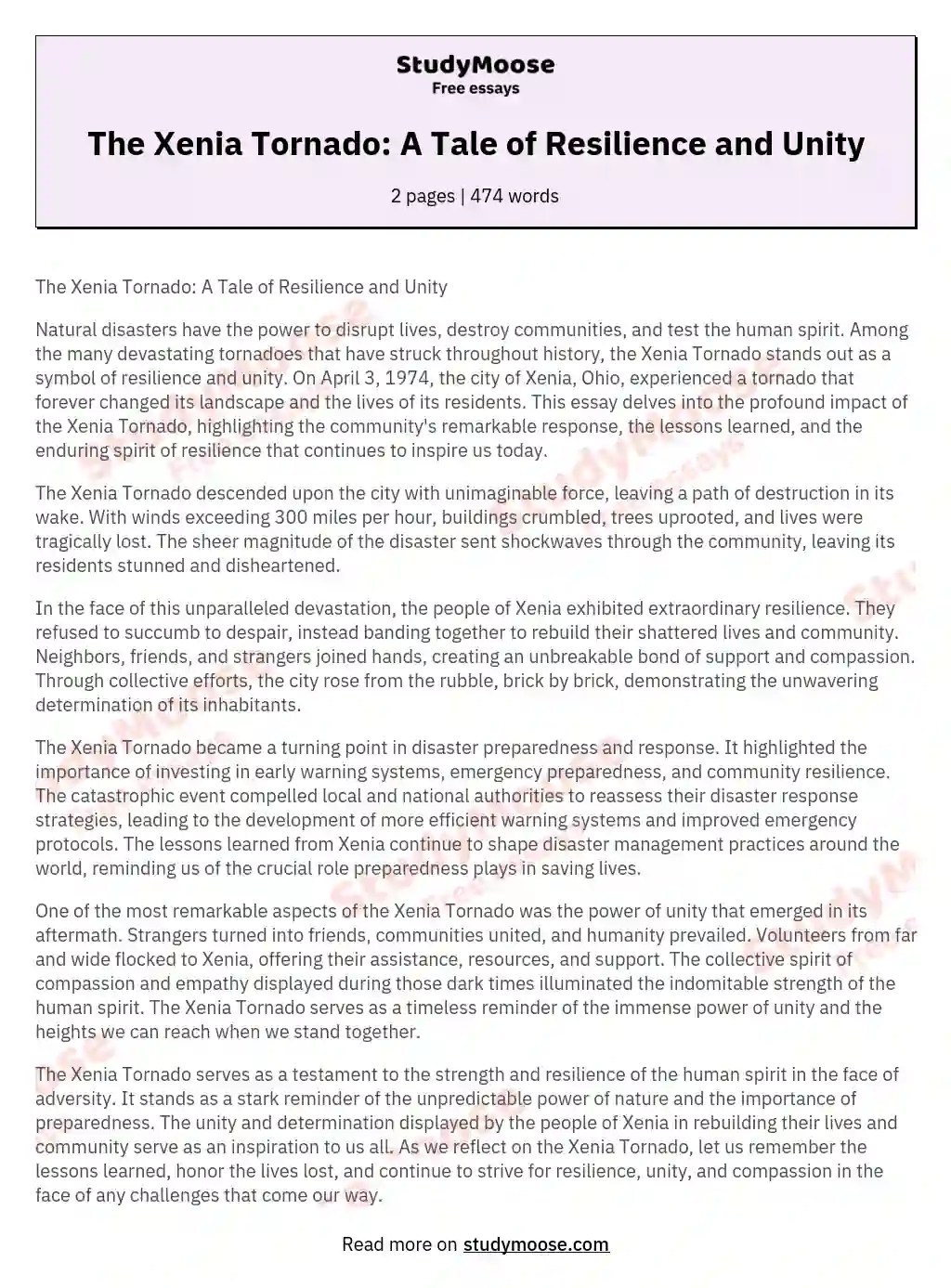 The Xenia Tornado A Tale of Resilience and Unity Free Essay Example