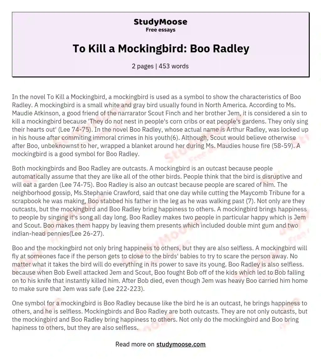 To Kill a Mockingbird Boo Radley Free Essay Example
