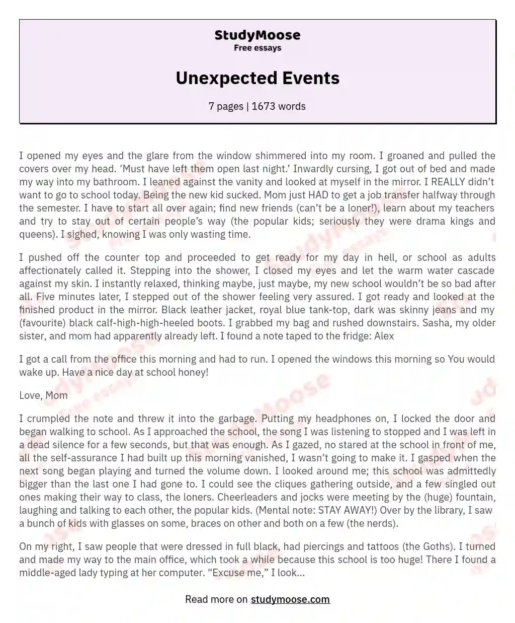 Unexpected Events Free Essay Example(06)